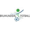 布鲁蒙德尔队徽
